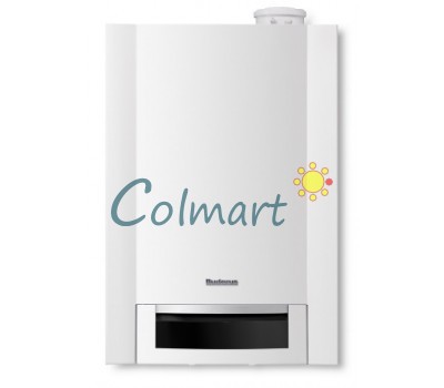 Газовый котел Buderus Logamax plus GB172-24 T50
